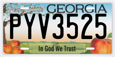 GA license plate PYV3525
