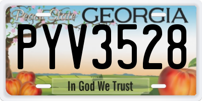 GA license plate PYV3528