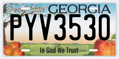 GA license plate PYV3530