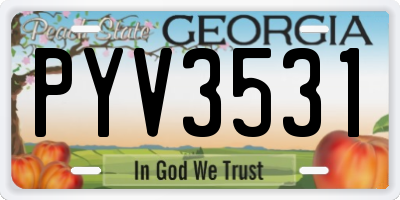 GA license plate PYV3531