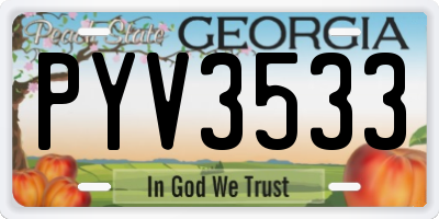 GA license plate PYV3533