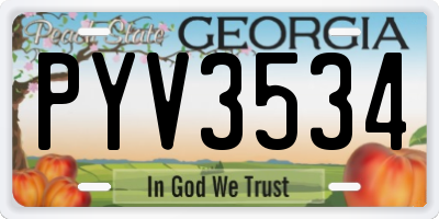 GA license plate PYV3534