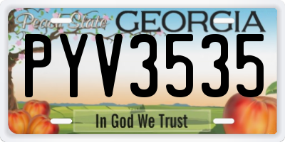 GA license plate PYV3535