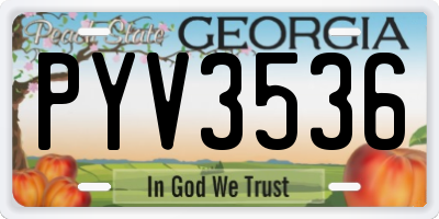 GA license plate PYV3536