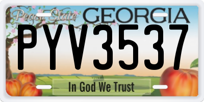 GA license plate PYV3537