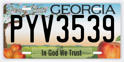 GA license plate PYV3539