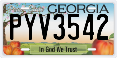 GA license plate PYV3542