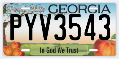 GA license plate PYV3543