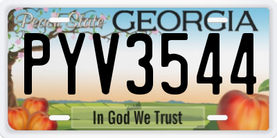 GA license plate PYV3544