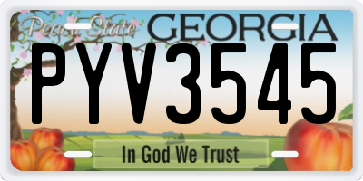 GA license plate PYV3545
