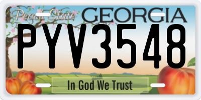 GA license plate PYV3548