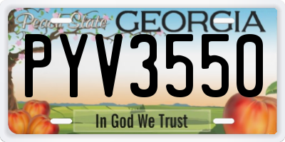 GA license plate PYV3550