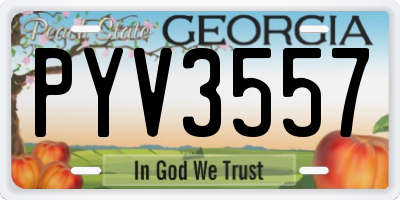 GA license plate PYV3557