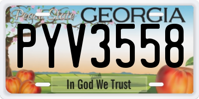 GA license plate PYV3558