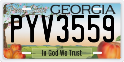 GA license plate PYV3559