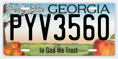 GA license plate PYV3560