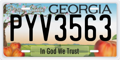 GA license plate PYV3563