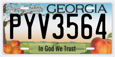 GA license plate PYV3564