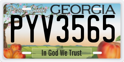 GA license plate PYV3565