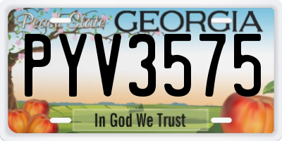 GA license plate PYV3575