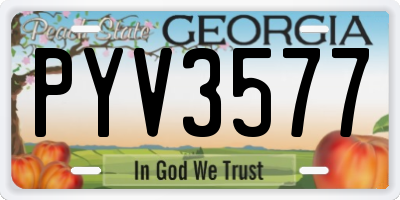 GA license plate PYV3577
