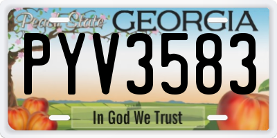 GA license plate PYV3583