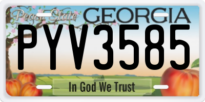 GA license plate PYV3585