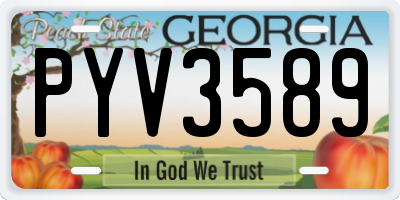 GA license plate PYV3589