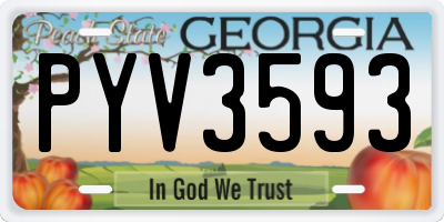 GA license plate PYV3593