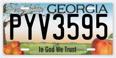 GA license plate PYV3595