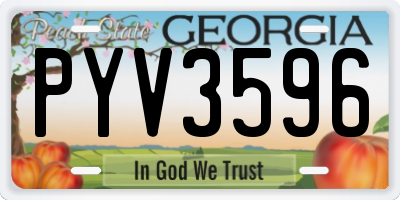 GA license plate PYV3596