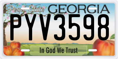 GA license plate PYV3598