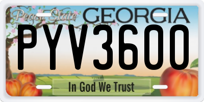 GA license plate PYV3600