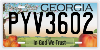 GA license plate PYV3602