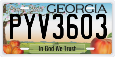 GA license plate PYV3603