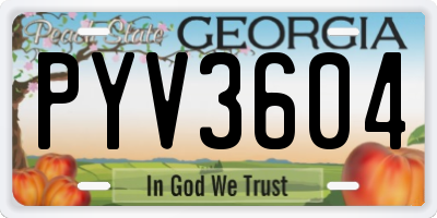 GA license plate PYV3604