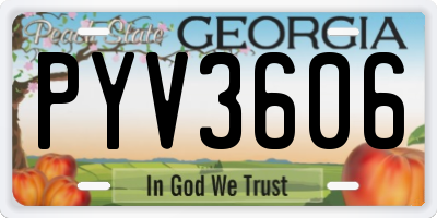 GA license plate PYV3606