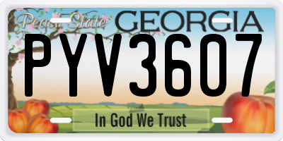 GA license plate PYV3607