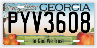 GA license plate PYV3608