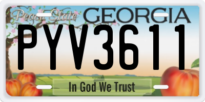GA license plate PYV3611