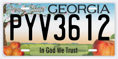 GA license plate PYV3612