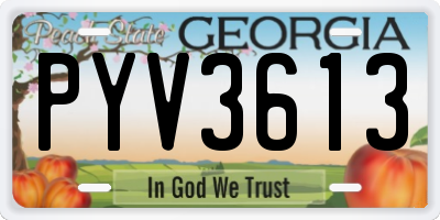GA license plate PYV3613