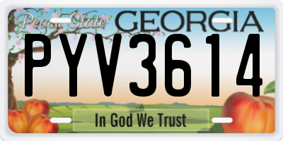 GA license plate PYV3614