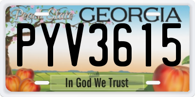 GA license plate PYV3615
