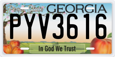 GA license plate PYV3616