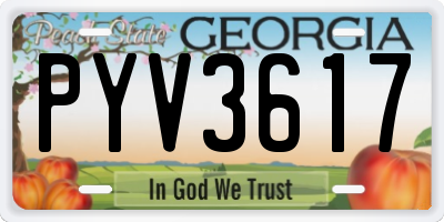 GA license plate PYV3617