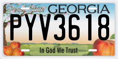 GA license plate PYV3618