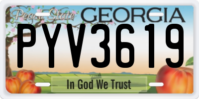 GA license plate PYV3619