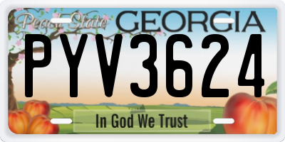 GA license plate PYV3624