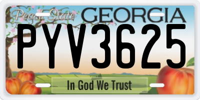 GA license plate PYV3625